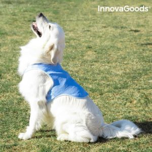 Голяма охлаждаща жилетка за кучета InnovaGoods - L размер