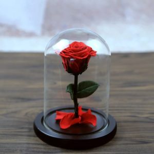 Вечна роза в стъкленица от Краса17 см, червена и бяла