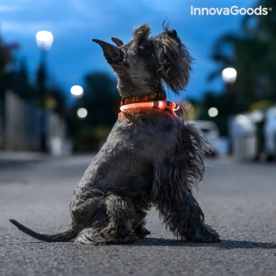 Светещ силиконов нашийник Petlux InnovaGoods