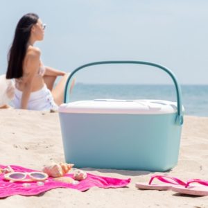 Преносима твърда хладилна чанта Koolty InnovaGoods 20 L